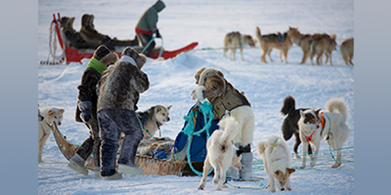 Dogsled tour picture by Adam Lyberth Visit Greenland